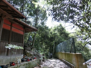 活動風景４
