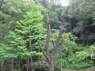 活動風景６